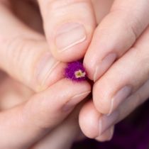 Artikel Ullsnöre, lila, 55m dekorativt snöre för blomsterhandel och hantverk