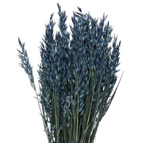 Artikel Torkade blommor, havre torkad korn dekoration blå 68cm 230g