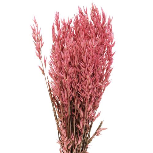 Torkade blommor, havre torkad korn dekorativ rosa 65cm 160g