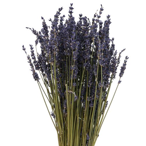 Floristik24 Torkad lavendelklas, torkad blomma lavendelblå 38–40cm 90g