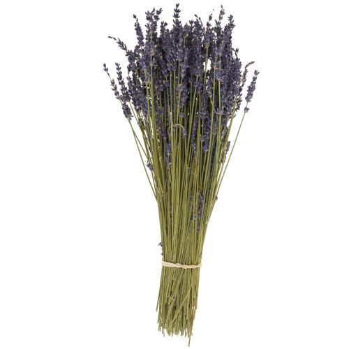Floristik24 Torkad lavendelklas, torkad blomma lavendelblå 38–40cm 90g