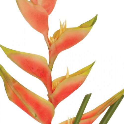 Artikel Heliconia konstgjorda konstgjorda blommor exotisk rosa, grön H103cm