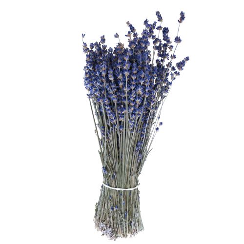 Torkad lavendel knippe torkade blommor Blå 25cm 75g