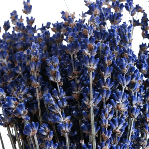 Artikel Torkad lavendelklas torkad blomma blå 25cm 75g