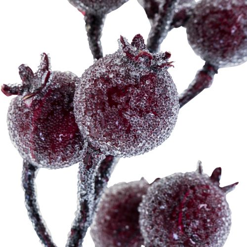 Floristik24 Nypongren bärgren frost konstväxt röd 25cm 12st