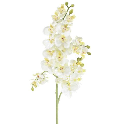 Floristik24 Phalaenopsis Konstgjorda Orkidéer Konstgjorda Blommor Vita 70cm