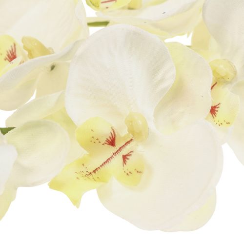 Floristik24 Phalaenopsis Konstgjorda Orkidéer Konstgjorda Blommor Vita 70cm