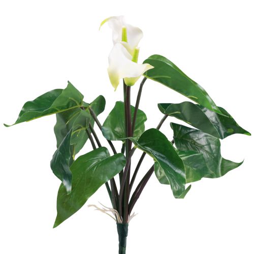 Floristik24 Calla Lily Kalla Konstgjorda Blommor Vita Exotiska Blommor 34cm