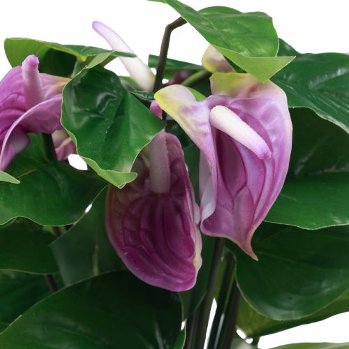 Floristik24 Konstgjorda blommor konstgjorda anthurium konstgjorda växter i kruka 41cm