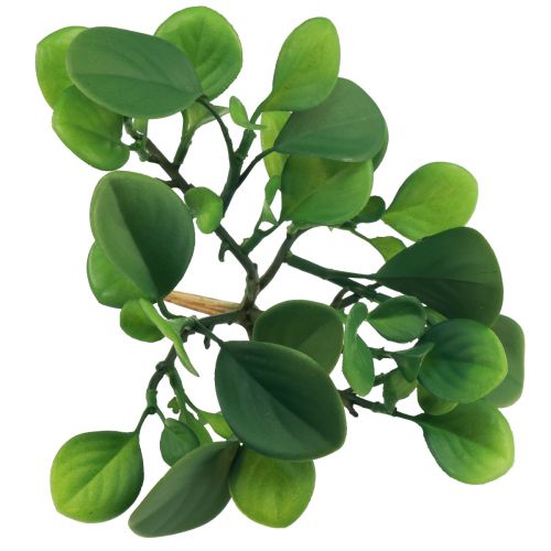 Artikel Konstgjord grön växt suckulent konstgrön H14cm