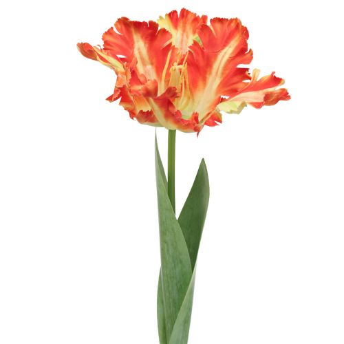 Artikel Konstgjord blomma papegoja tulpan konstgjord tulpan orange 69cm