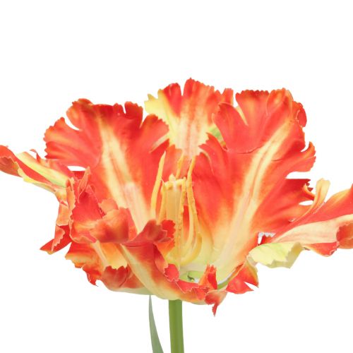 Floristik24 Konstgjord blomma papegoja tulpan konstgjord tulpan orange 69cm