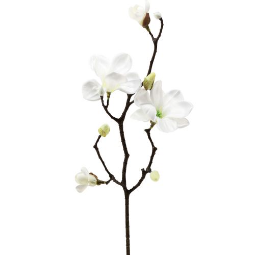 Floristik24 Konstgjord blomma magnoliakvist magnolia konstgjord vit 58cm 3st