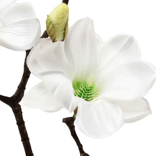 Floristik24 Konstgjord blomma magnoliakvist magnolia konstgjord vit 58cm 3st