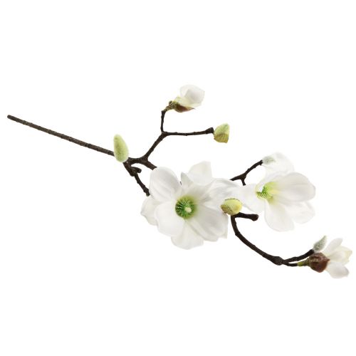 Floristik24 Konstgjord blomma magnoliakvist magnolia konstgjord vit 58cm 3st