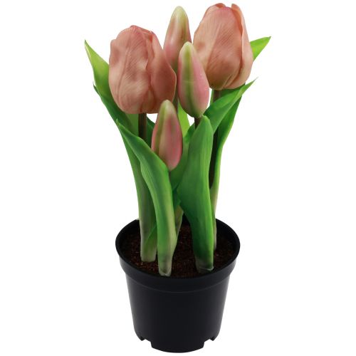 Artikel Konstgjorda tulpaner i kruka Tulpaner Persika konstgjorda blommor 22cm