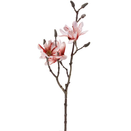 Floristik24 Magnolia gren magnolia konstgjord lax 58cm