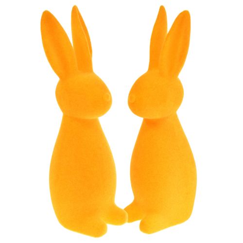 Floristik24 Påskharar orange flockade – 2:a valet – Påskdekorationskaniner 8x10x29cm 2 st.