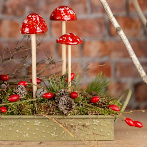 Floristik24 Padsvampar på pinne, röd, 4 cm, set om 6 - dekorativa trädgårdssvampar för höstdekoration