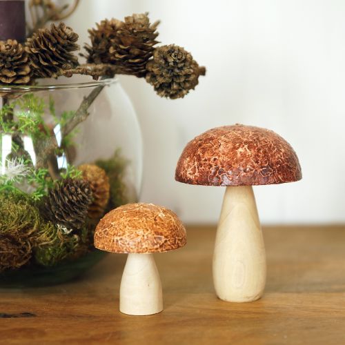 Artikel Träsvampar dekorativa svampar bordsdekoration höstbrun naturell 5×6cm 8 st