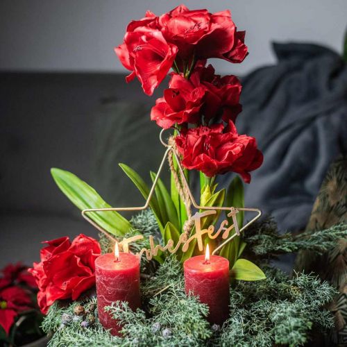 Floristik24 Konstgjord amaryllisröd 3 sidenblommor på mossakulor H64cm