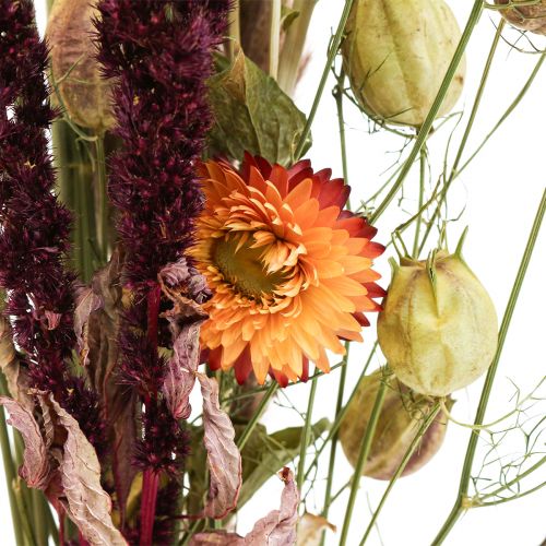 Artikel Bukett torkade blommor halmblommor orange lila 55cm 70g