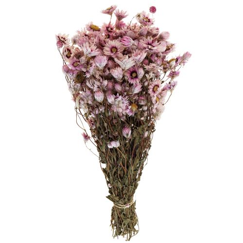 Floristik24 Halmblommor torkade blommor vit rosa 20-35cm knippe 40g