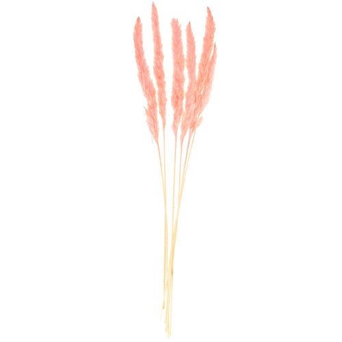 Artikel Pampas gräs dekoration, pampas gräs torkat pampas gräs rosa 72cm 6 st