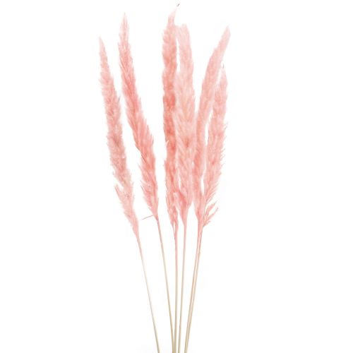 Artikel Pampas gräs dekoration, pampas gräs torkat pampas gräs rosa 72cm 6 st