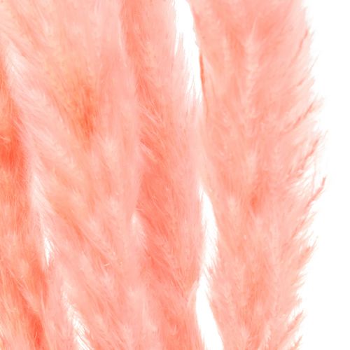 Artikel Pampas gräs dekoration, pampas gräs torkat pampas gräs rosa 72cm 6 st