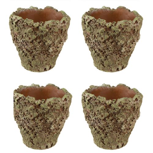 Artikel Växtkruka rustik plantera mossa look Ø17cm H16,5cm 4st