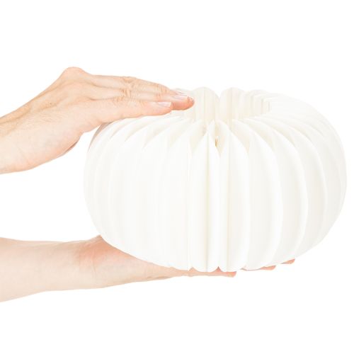 Runda pumpor av honungskakapapper, stora för torkade blommor och höstdekorationer, 24 cm, 4 st | Floristik24.se