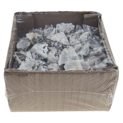 Floristik24 Skal Deco Skal Vit Svart Liten 1-2,5cm 250g