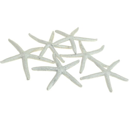Floristik24 Sjöstjärna Silver Maritim Dekoration Sjöstjärna Sommardekoration 7,5cm 10 st