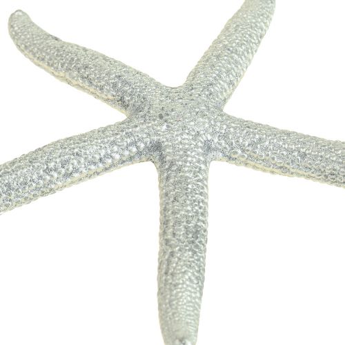 Floristik24 Sjöstjärna Silver Maritim Dekoration Sjöstjärna Sommardekoration 7,5cm 10 st