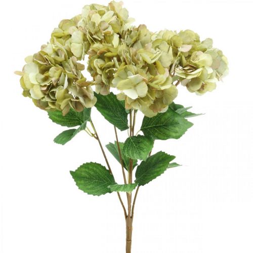 Hortensia bukett konstgrön, brun 5 blommor 48cm