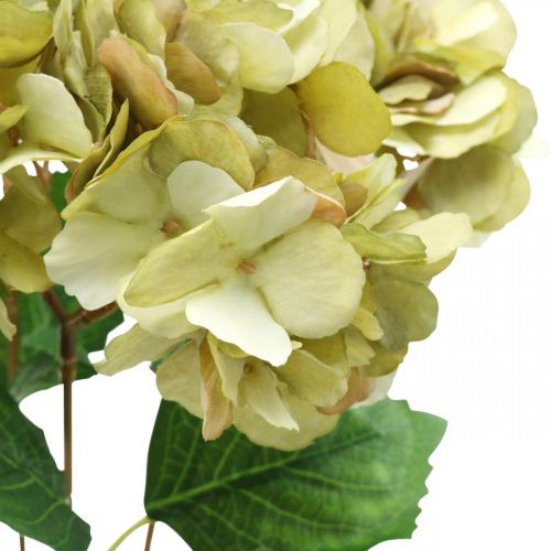 Floristik24 Hortensia bukett konstgrön, brun 5 blommor 48cm