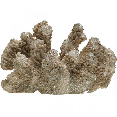 Floristik24 Maritim dekoration, havsdjur, dekoration korall polyresin 13,5x11,5cm