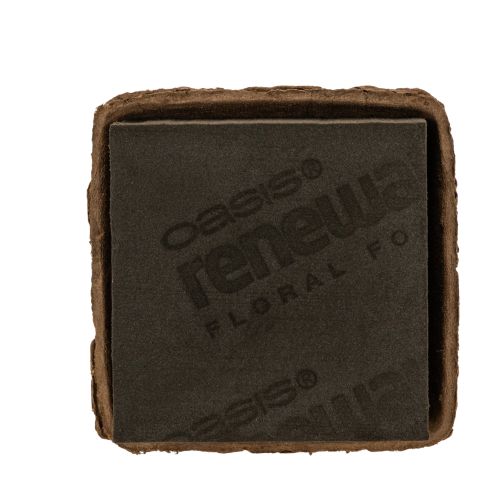 Blomskum 1/2 tegelsten OASIS® Renewal® Blomskum Biolit® 12cm 2S köpa | Floristik24.se
