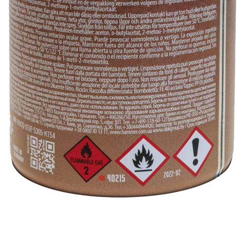 Floristik24 Rust Spray Effekt Spray Rost Spray Insida och Utsida Brun 400ml