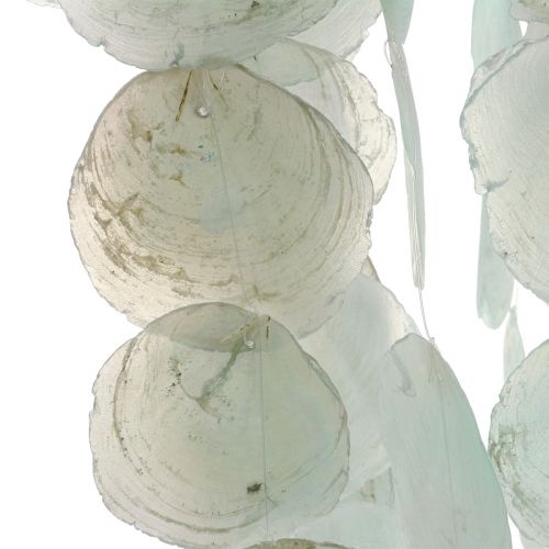Floristik24 Capiz vindspel hängande dekoration skaldekor grön Ø29cm 160cm