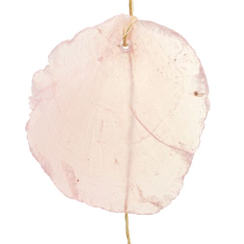 Floristik24 Skalgirlang pärlemor skalgirlang Capiz rosa L108cm