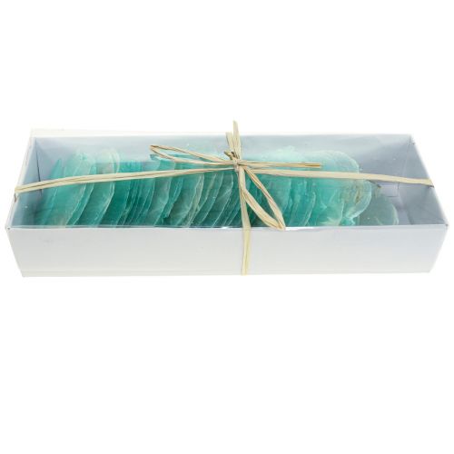 Floristik24 Capiz-skal, capiz-skivor, pärlemorskivor turkos 6,5–9,5 cm 650g