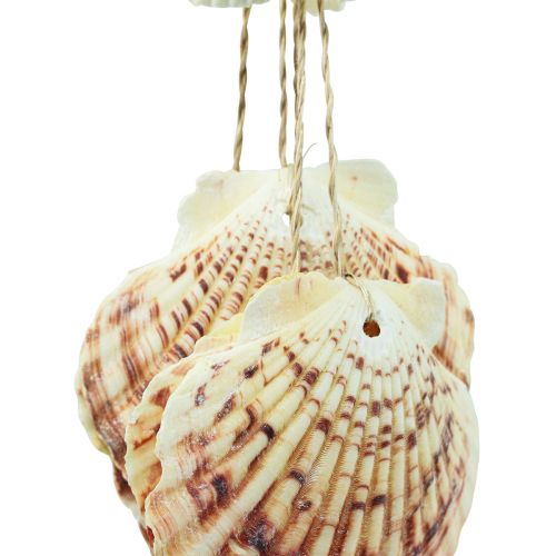Floristik24 Maritime hängande dekorationsskal Maritim vindklocka 74cm