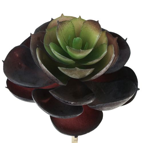 Artikel Suckulenta Echeveria konstgjorda gröna växter Ø7cm 12cm 6 st