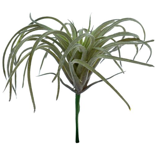 Artikel Tillandsia Suckulenta konstgjorda gröna växter 13cm
