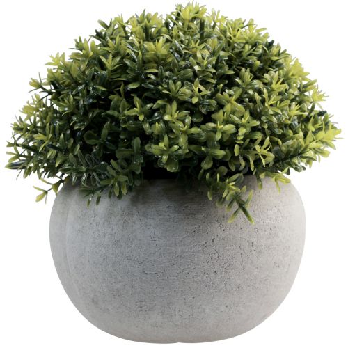 Artikel Konstgjorda växter Konstgjord buxbom 12,5cmר12cm 4st