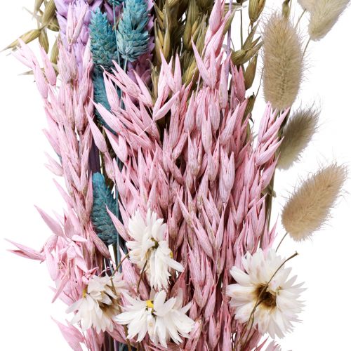 Floristik24 Torkad blombukett halmblommor Phalaris korn 58cm