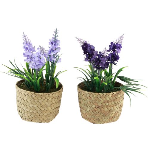 Artikel Konstgjord hyacint i kruka sjögräs blå lila 16/17cm 2st