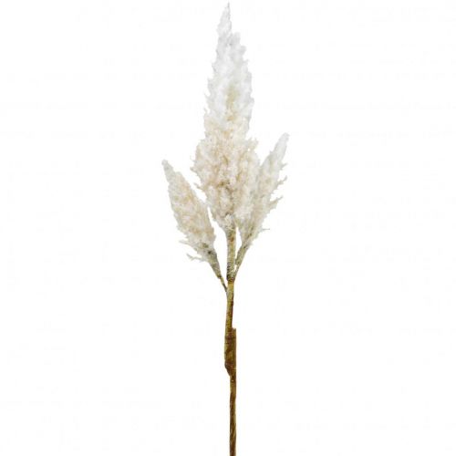 Floristik24 Pampas gräs vit kräm konstgräs dekoration 82cm